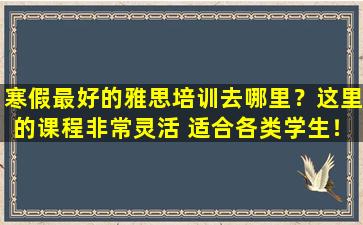 寒假最好的雅思培训去哪里？这里的课程非常灵活 适合各类学生！